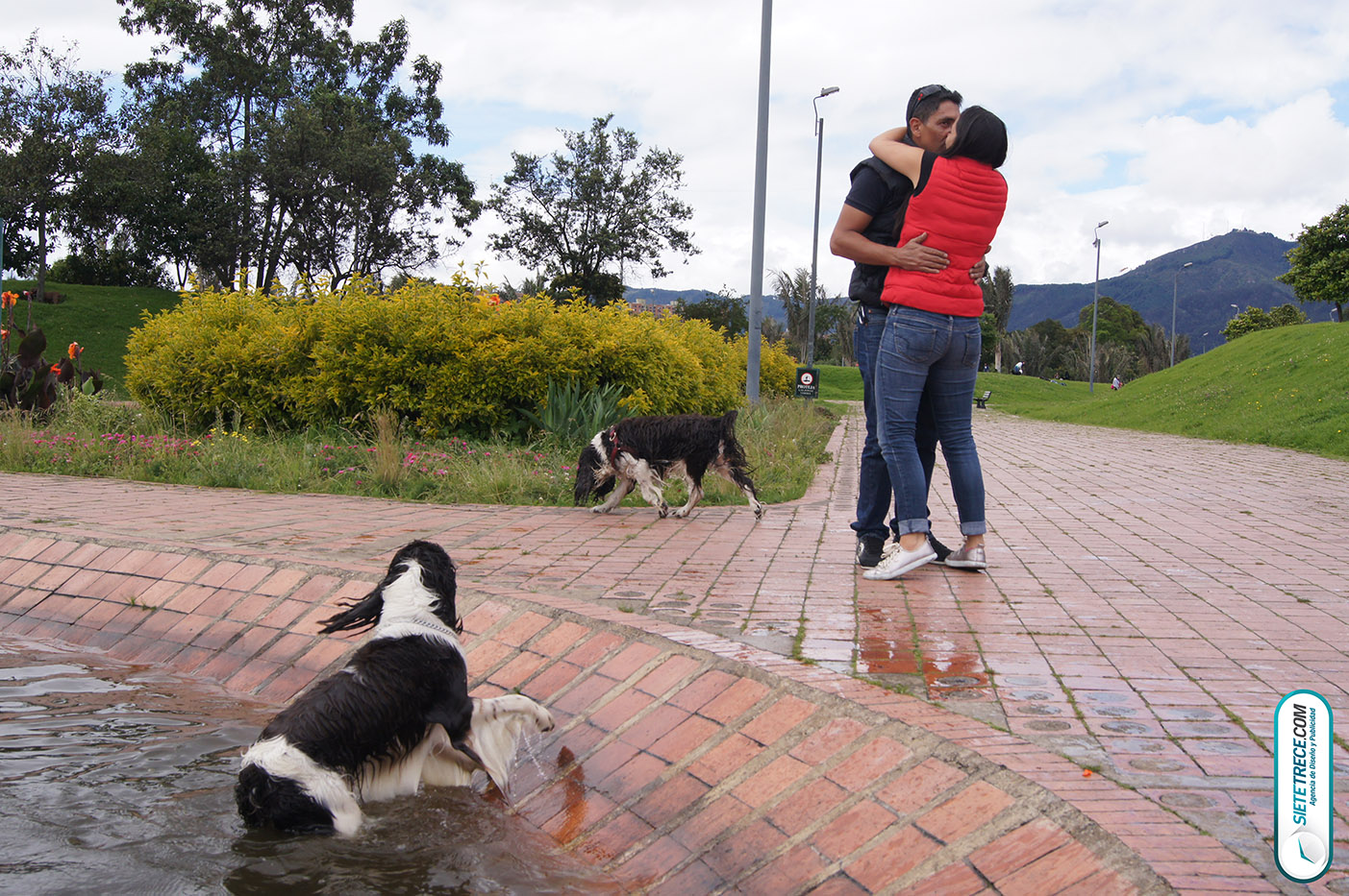 Lunes festivo de fotografía en la Biblioteca Virgilio Barco Perros y Familias