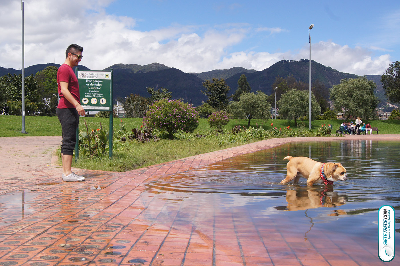 Lunes festivo de fotografía en la Biblioteca Virgilio Barco Perros y Familias