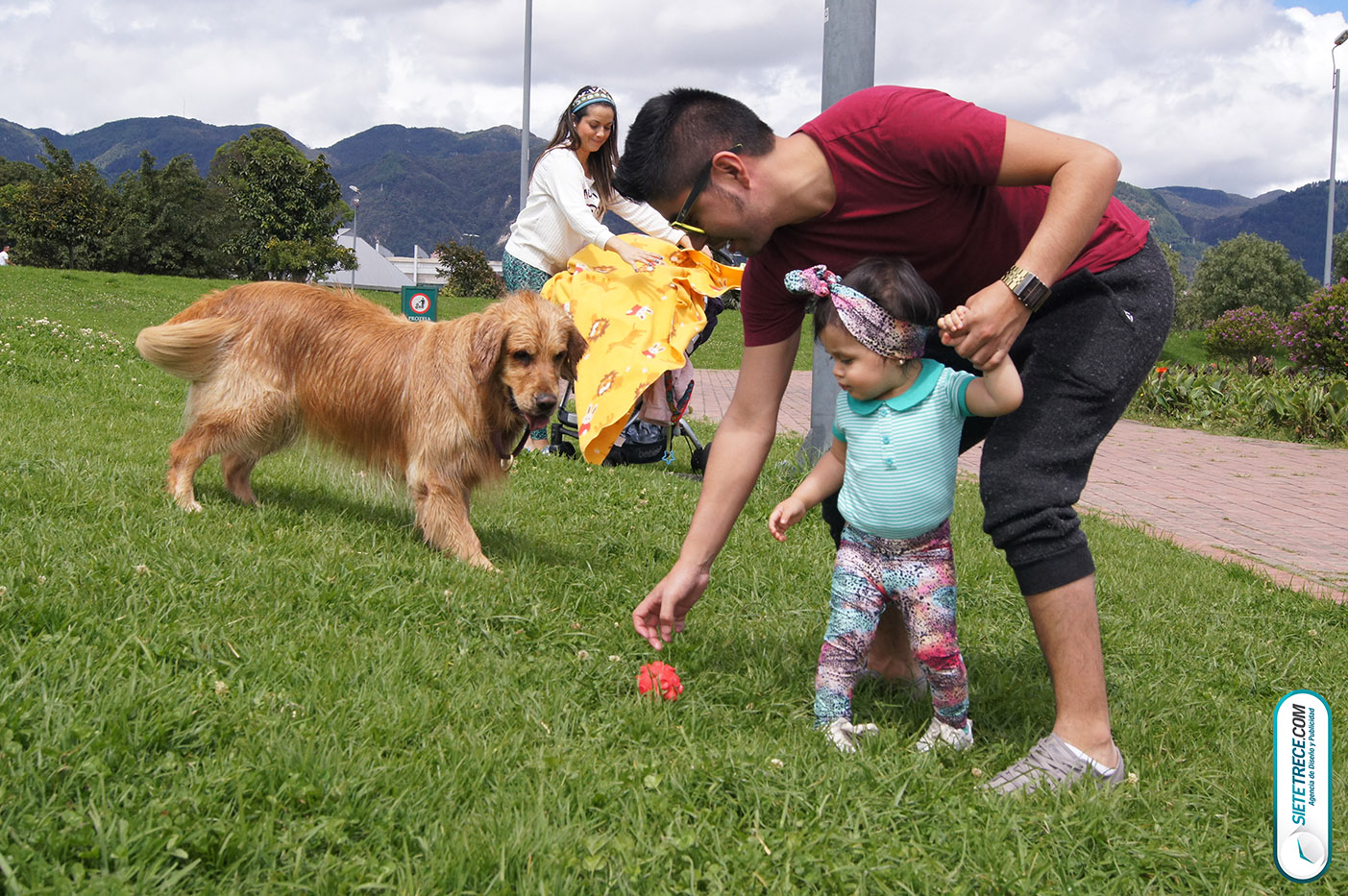 Lunes festivo de fotografía en la Biblioteca Virgilio Barco Perros y Familias