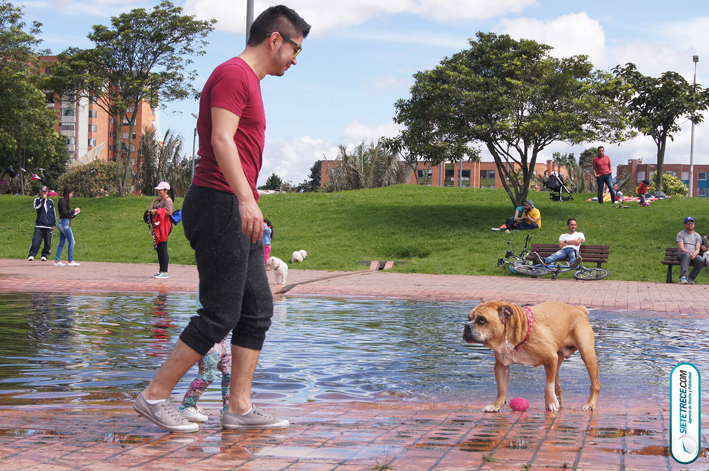 Lunes festivo de fotografía en la Biblioteca Virgilio Barco Perros y Familias