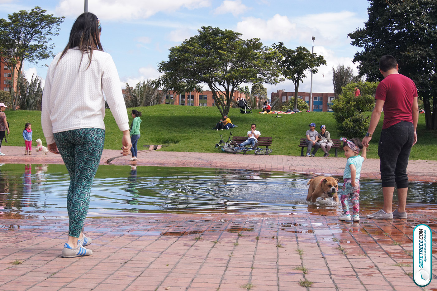 Lunes festivo de fotografía en la Biblioteca Virgilio Barco Perros y Familias