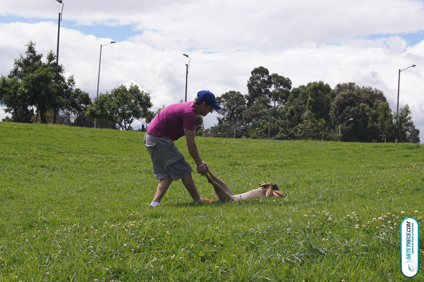 Lunes festivo de fotografía en la Biblioteca Virgilio Barco Perros y Familias