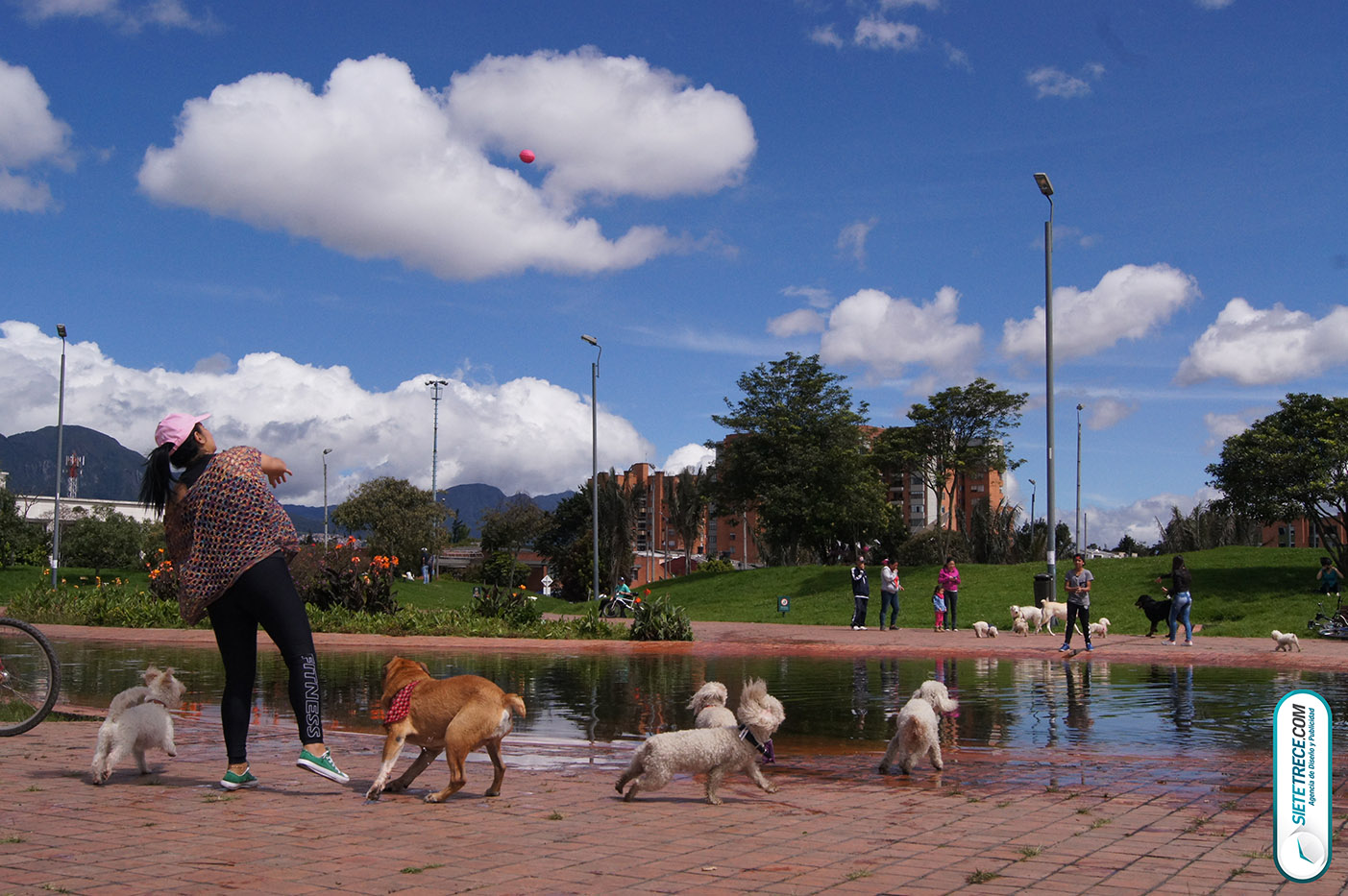 Lunes festivo de fotografía en la Biblioteca Virgilio Barco Perros y Familias