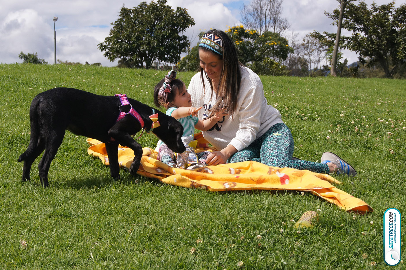 Lunes festivo de fotografía en la Biblioteca Virgilio Barco Perros y Familias